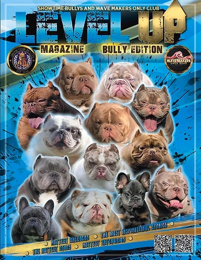 Level Up: Magazine Bully Edition