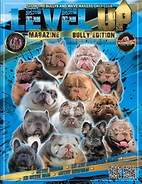 Level Up: Magazine Bully Edition