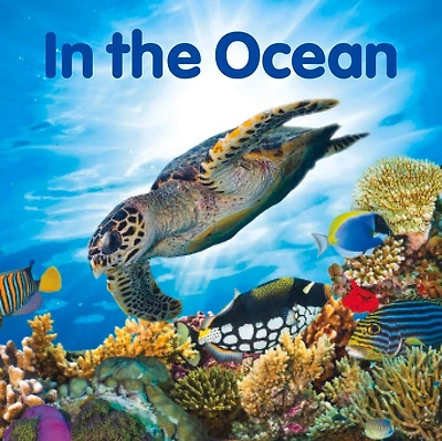 In the Ocean