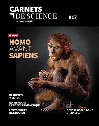 Carnets de science, n°17. Homo avant sapiens