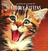 Curious Looks Of Cuddly Kittens: Colour Photo Album With Beautiful Kittens. Gift Idea For Lovers Of Small Felines And Nature. Photo