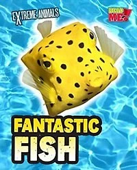 Fantastic Fish