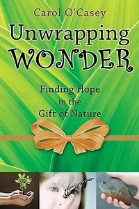 Unwrapping Wonder: Finding Hope the Gift of Nature