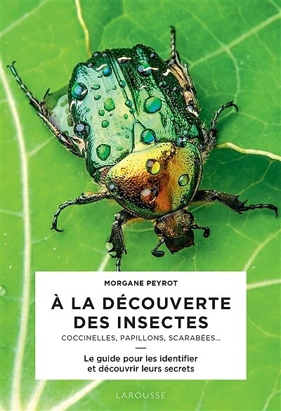 A la découverte des insectes: coccinelles, papillons, scarabées...