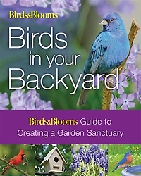 Birds & Blooms: Birds In Your Backyard: Guide To Creating A Garden Sanctuary
