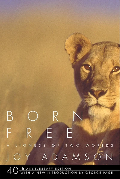 Born Free: A Lioness Of Two Worlds
