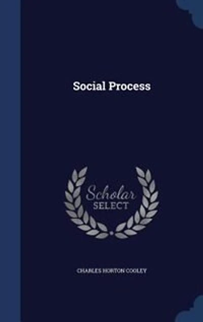 Social Process