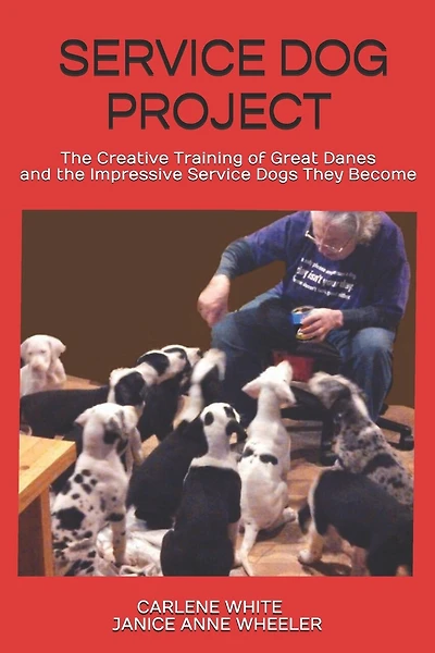 Service Dog Project: The Creative Training of Great Danes and the Impressive Service Dogs They Become