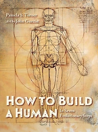 How to Build a Human: Seven Evolutionary Steps