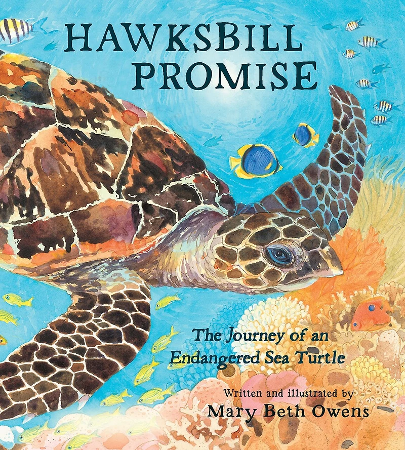 Hawksbill Promise: The Journey Of An Endangered Sea Turtle
