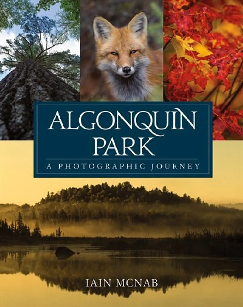 Algonquin Park: A Photographic Journey