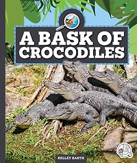 A Bask of Crocodiles