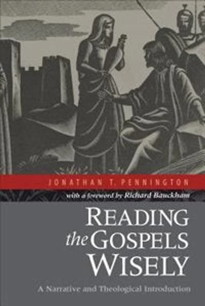 Reading the Gospels Wisely: A Narrative and Theological Introduction