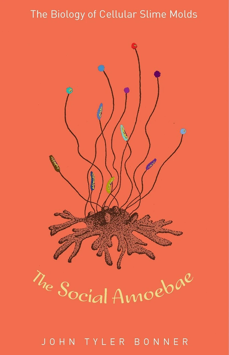 The Social Amoebae: Biology of Cellular Slime Molds
