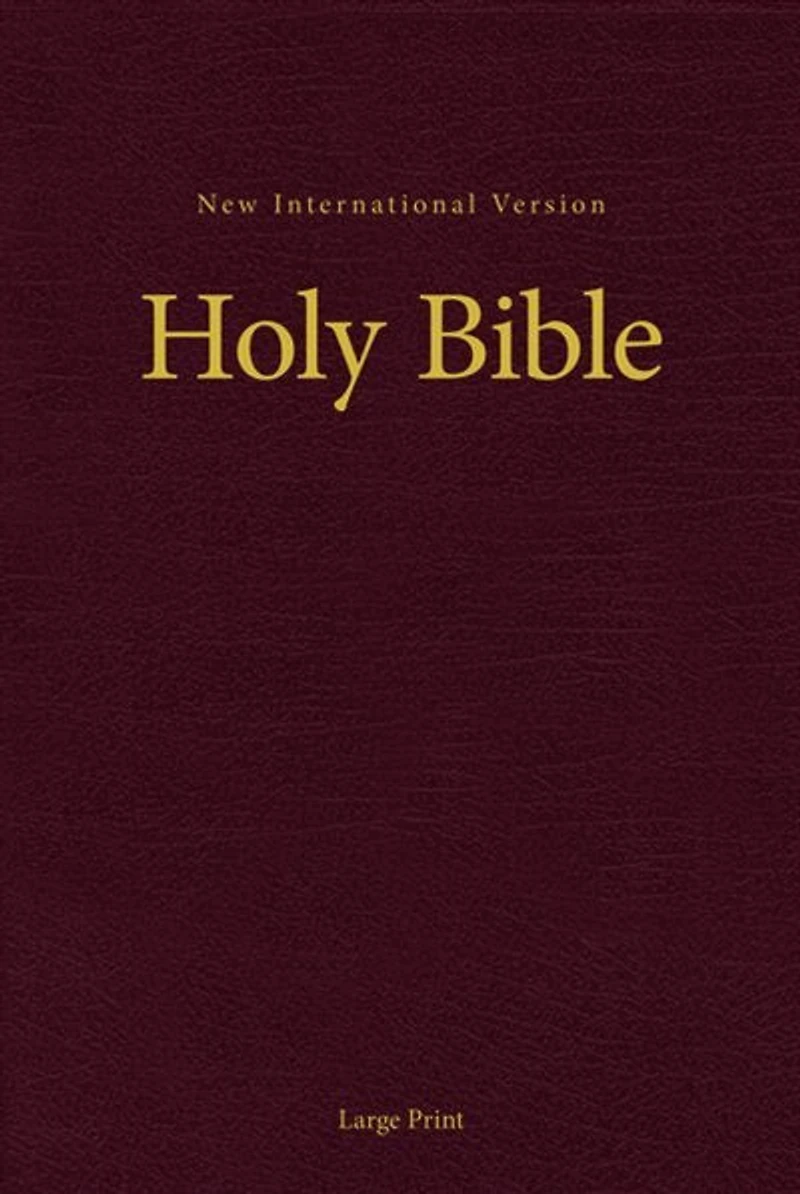 Niv, Holy Bible, Larger Print, Paperback
