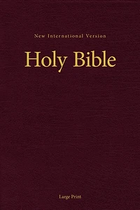 Niv, Holy Bible, Larger Print, Paperback
