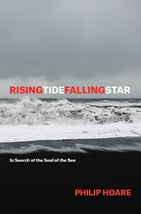 RISINGTIDEFALLINGSTAR: Search of the Soul Sea