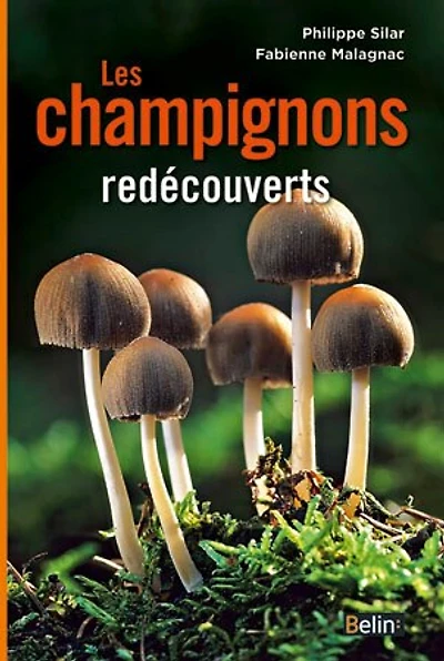 Les champignons redécouverts