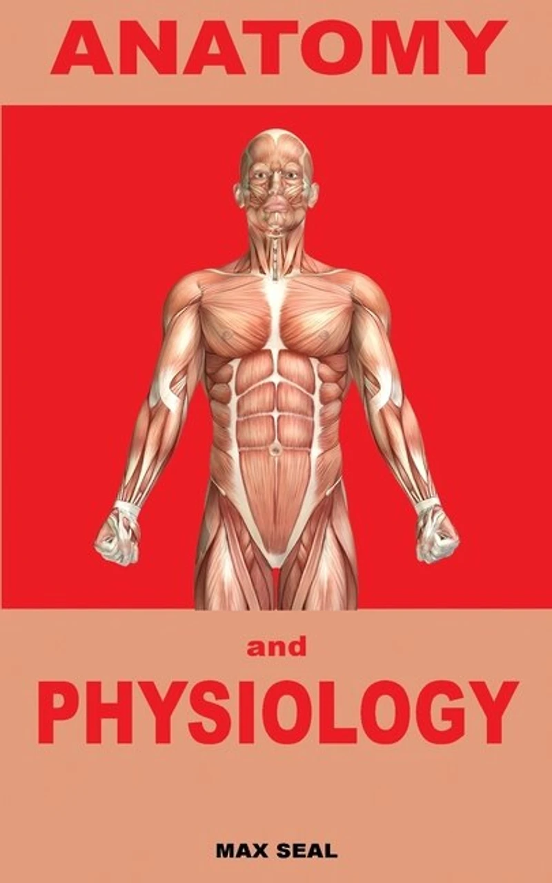 Anatomy And Physiology: Human Body, Skeleton And Muscle, Human Anatomy, Human Physiology