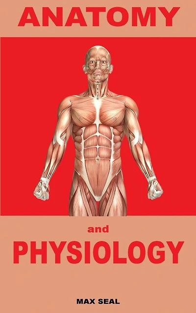 Anatomy And Physiology: Human Body, Skeleton And Muscle, Human Anatomy, Human Physiology