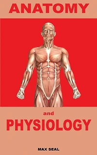 Anatomy And Physiology: Human Body, Skeleton And Muscle, Human Anatomy, Human Physiology