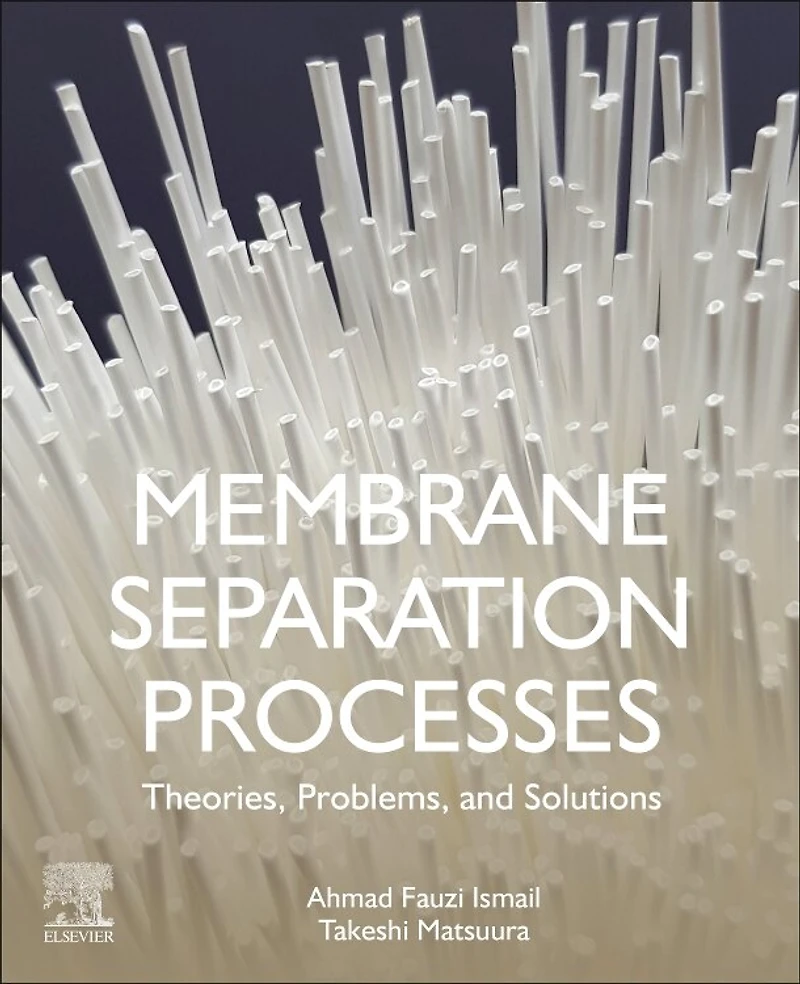 Membrane Separation Processes: Theories, Problems, And Solutions