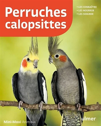 Perruches calopsittes: les connaître, les nourrir, les soigner