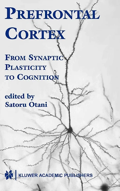 Prefrontal Cortex: From Synaptic Plasticity to Cognition