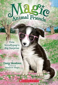 Evie Scruffypup's Big Surprise (Magic Animal Friends #10)
