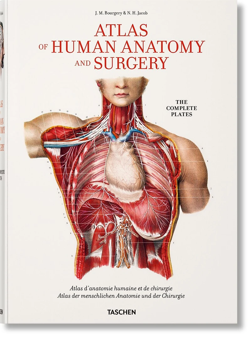 Bourgery. Atlas of Human Anatomy and Surgery: Atlas of Human Anatomy and Surgery