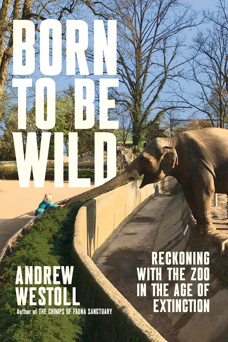 Born to Be Wild: Reckoning with the Zoo Age of Extinction