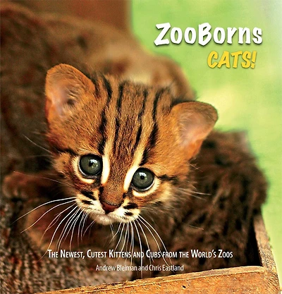 ZooBorns Cats!: the Newest, Cutest Kittens and Cubs from World's Zoos