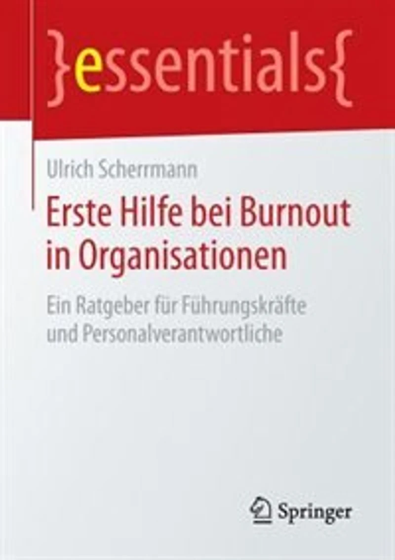 Erste Hilfe Bei Burnout Organisationen: Ein Ratgeber Für Führungskräfte Und Personalverantwortliche