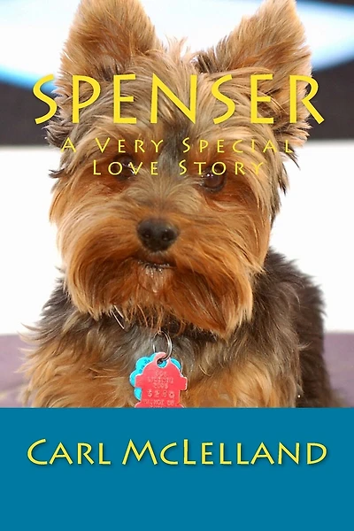 Spenser: A Very Special Love Story