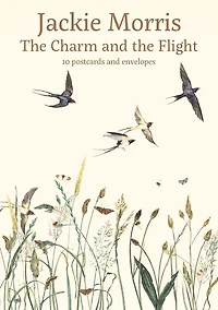 The Charm and the Flight Postcard Pack