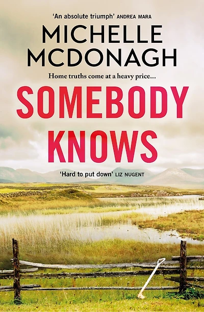 Somebody Knows: A gripping, addictive page-turner about dangerous secrets and the lengths people will go to keep them