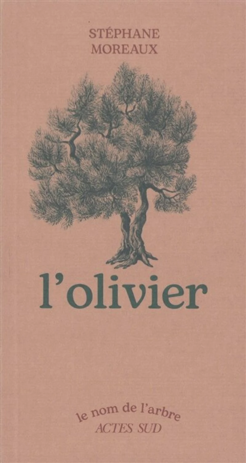 L' olivier