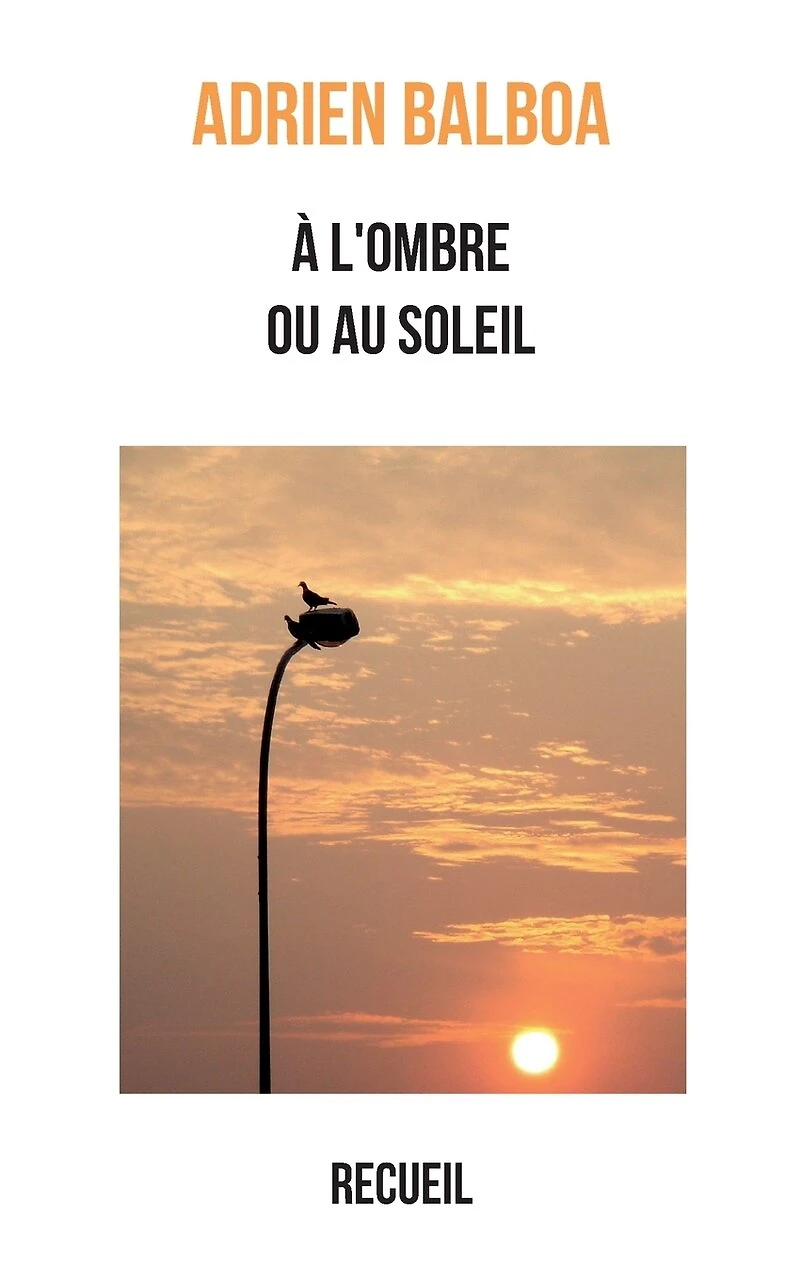 À l'ombre ou au soleil: Recueil