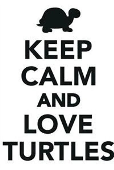 Keep Calm & Love Turtles Notebook & Journal. Productivity Work Planner & Idea Notepad: Brainstorm Thoughts, Self Discovery, To Do List