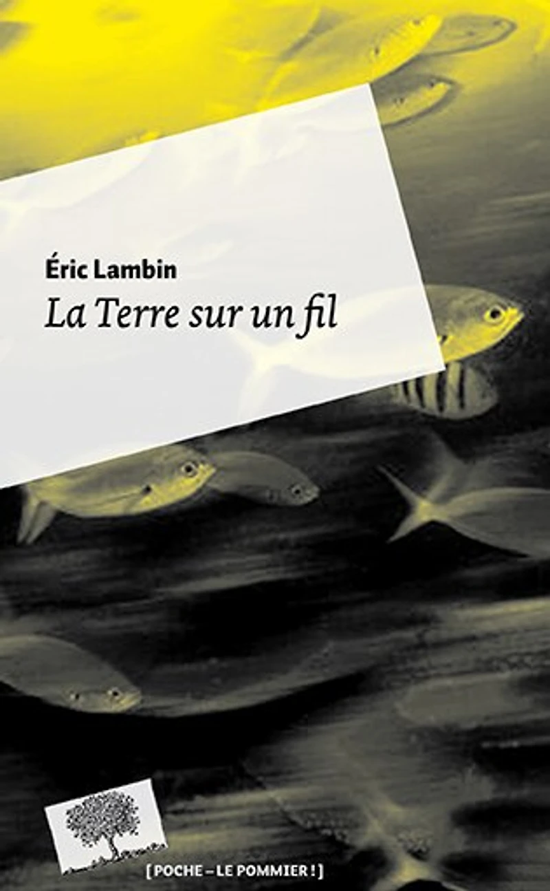 La Terre sur un fil