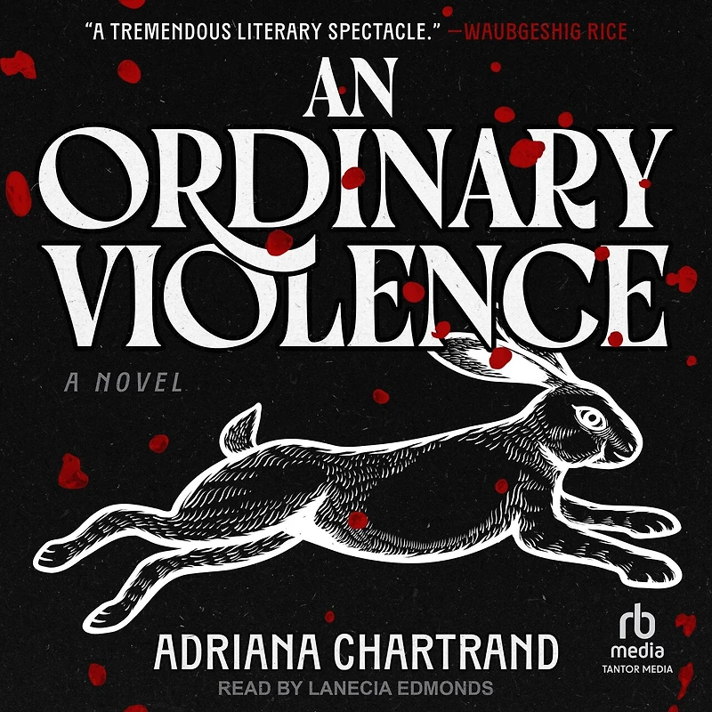 An Ordinary Violence: A Novel