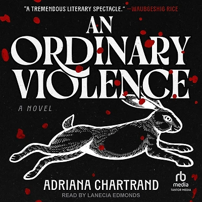 An Ordinary Violence: A Novel