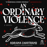 An Ordinary Violence: A Novel