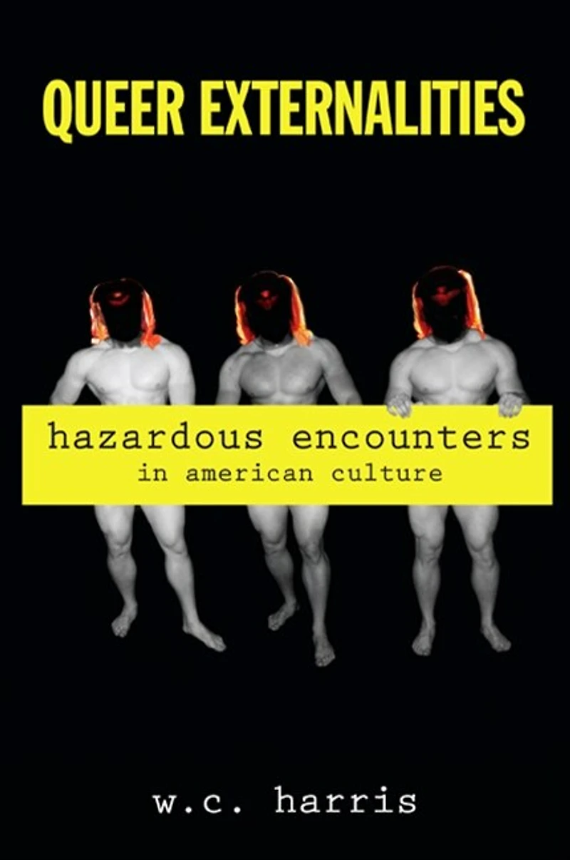 Queer Externalities: Hazardous Encounters in American Culture