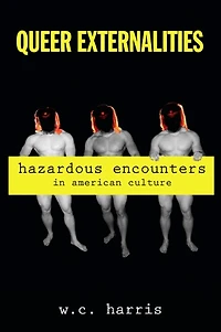 Queer Externalities: Hazardous Encounters in American Culture