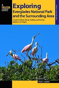 Exploring Everglades National Park and the Surrounding Area: A Guide to Hiking, Biking, Paddling, Viewing Wildlife Region