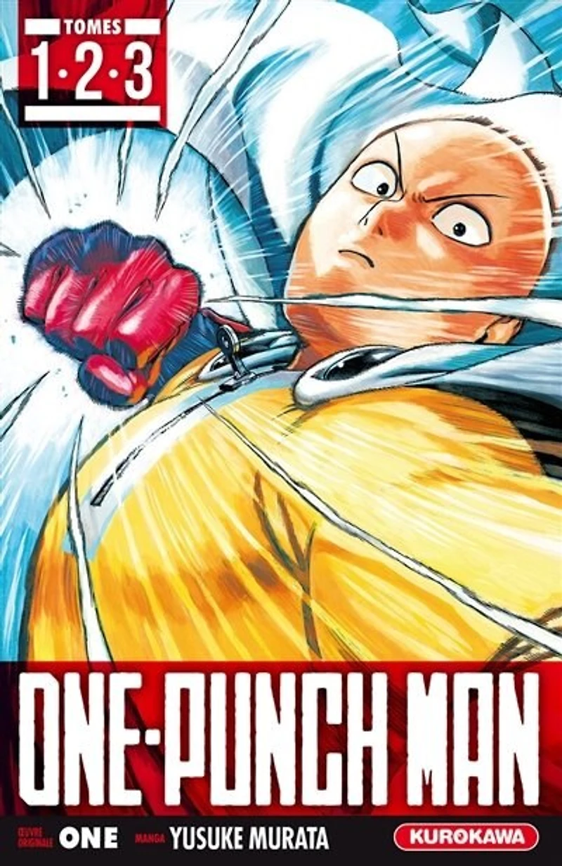 Coffret One Punch Man