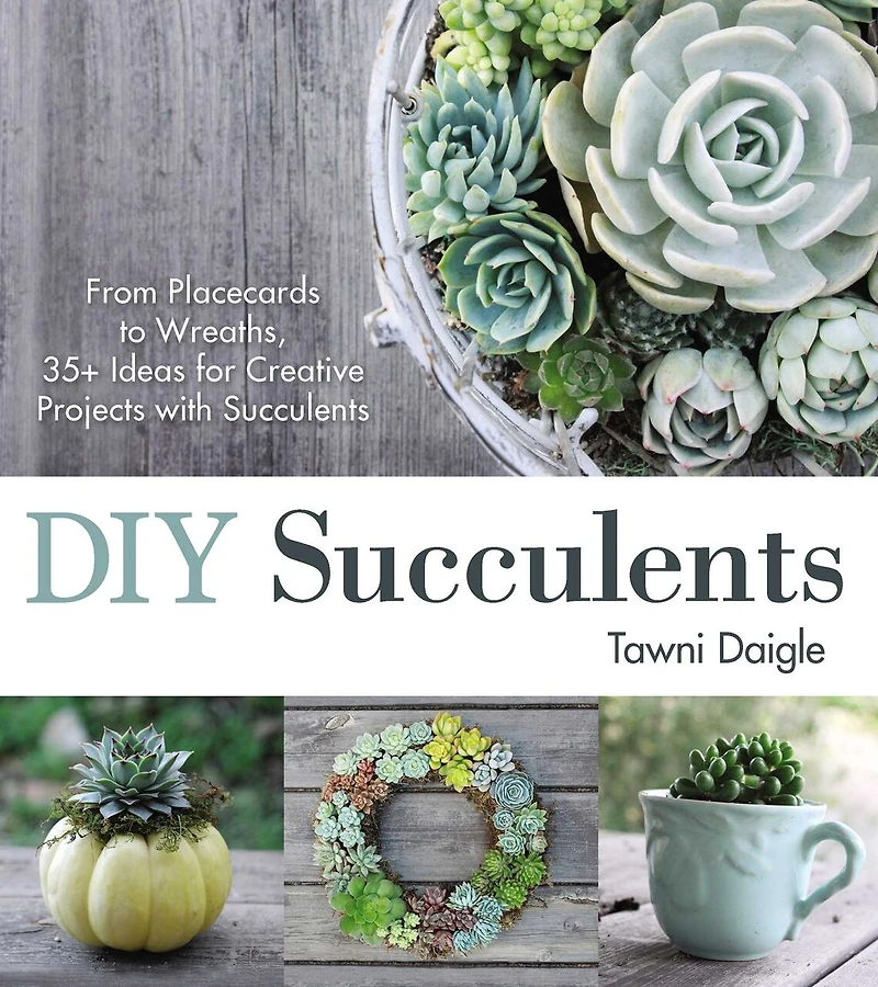 Diy Succulents: From Placecards To Wreaths, 35+ Ideas For Creative Projects With Succulents