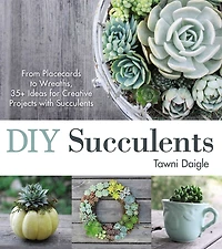Diy Succulents: From Placecards To Wreaths, 35+ Ideas For Creative Projects With Succulents