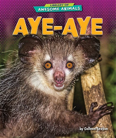 Aye-Aye